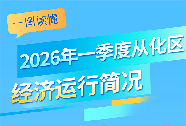 2026年一季度从化区经济运行简况