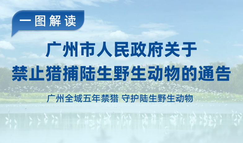 【⼀图读懂】《广州市人民政府关于禁止猎捕陆生野生动物的通告》