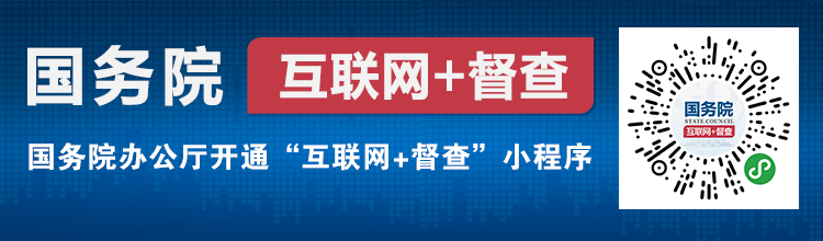 国务院互联网+督查