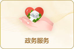 政务服务
