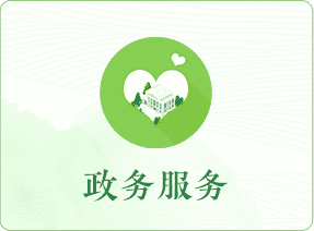 政务服务