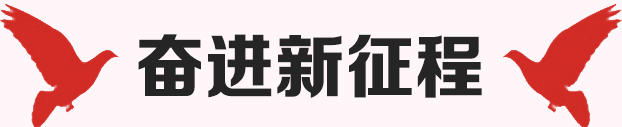 奋进新征程